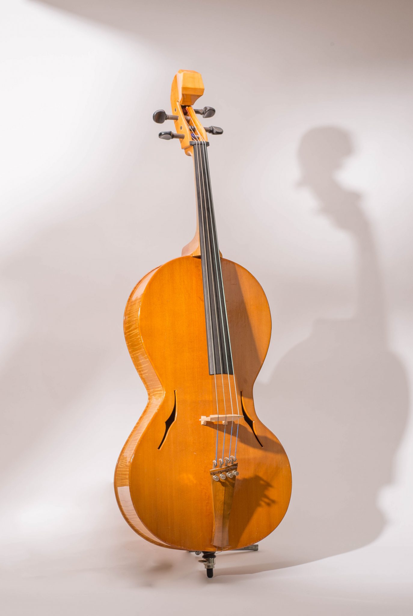 String instrument Cello Choroi