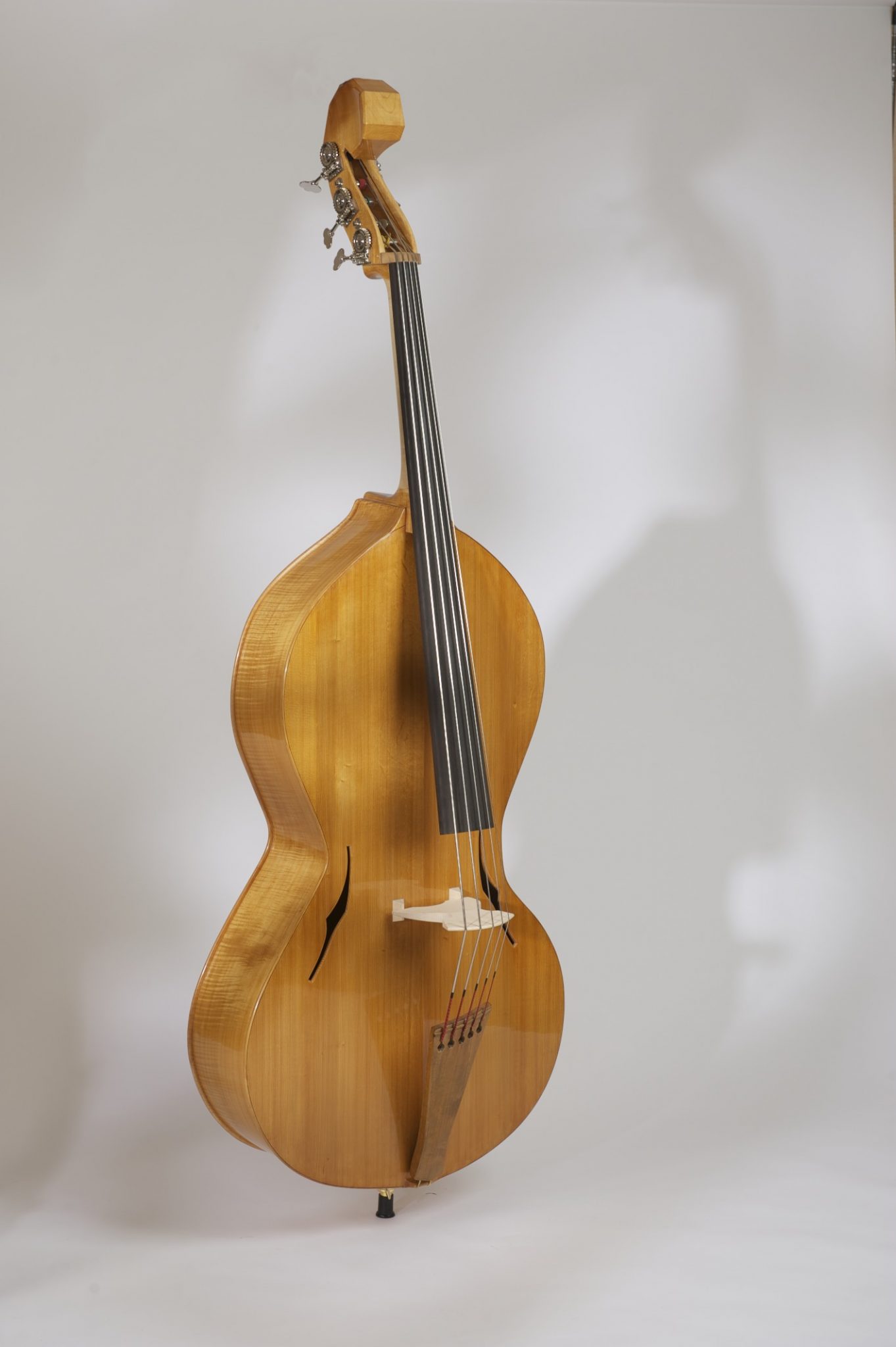 String instrument double bass Choroi